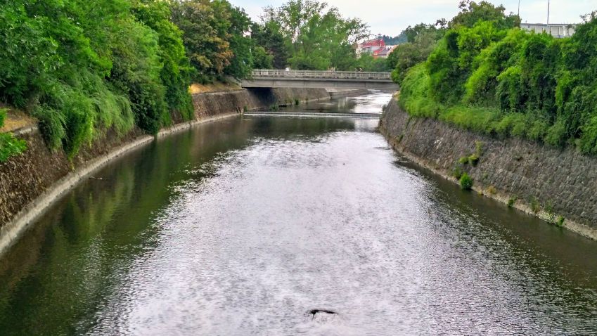 Brno revitalizací Svratky bojuje s povodněmi. Vedení města chce v protipovodňových opatřeních pokračovat