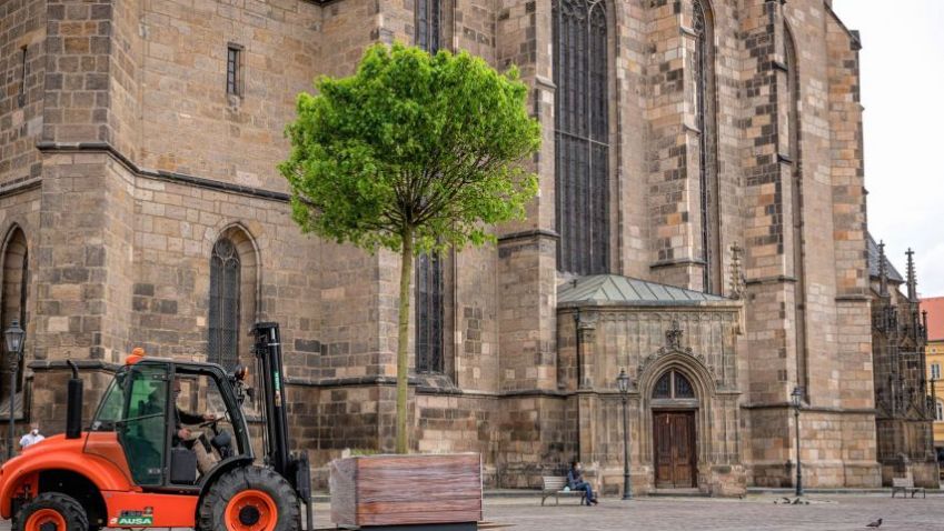 Centrum Plzně zdobí až dvě tuny vážící dřevěné květináče z tropického dřeva jatoba