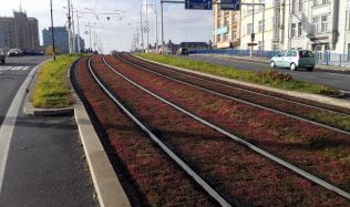 Hluku z tramvajových tratí odzvonilo. Jsou tu kolejové absorbéry