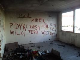 zdroj idnes.cz Popisek: Vybydlený byt v Chanově