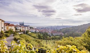 Nová studie ukáže budoucí rozvoj Petřína, zapojit se může každý