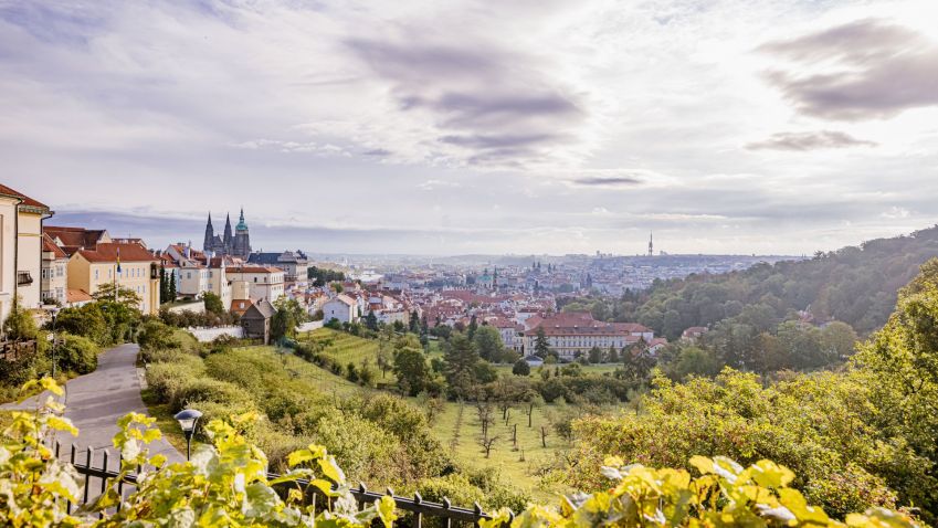 Nová studie ukáže budoucí rozvoj Petřína, zapojit se může každý