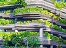Zelená architektura