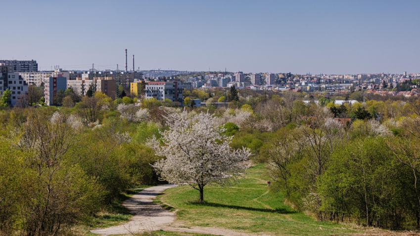 Praha chce z Trojmezí rekreační zónu. Se soukromými vlastníky plánuje jednat o výkupu pozemků