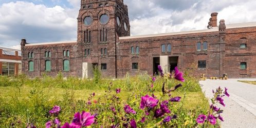 Před budovou zrekonstruovaných jatek v Ostravě vykvetla první brownfieldová zahrada