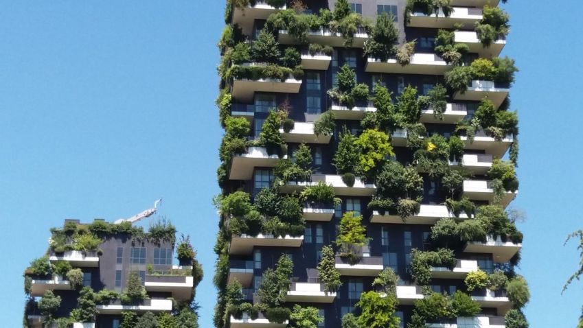 Stromy rostoucí na domech: Italský architekt Boeri bojuje na půdě nepřítele