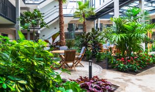 Tropická jungle pod vaší střechou. Obohaťte svůj projekt o zelené atrium!